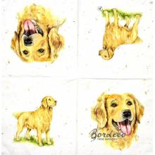 Serwetka decoupage firmy IHR labrador 33x33cm